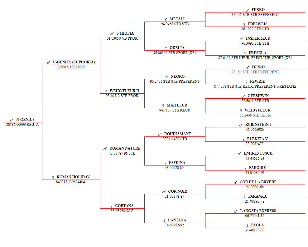 N-Genius pedigree